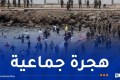 هروب الآلاف من الشباب والعائلات المغربية باتجاه سواحل سبتة الإسبانية