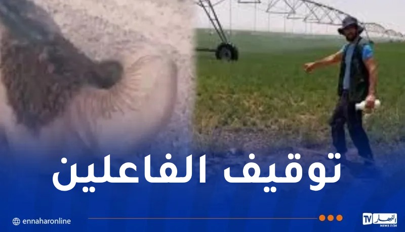 المنيعة.. توقيف شخصين بعد سكب مادة حمضية في حوض شرب مخصص للإبل
