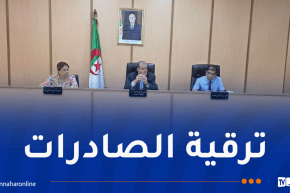 دراسة مشروع إنشاء منصات لوجستية للتصدير
