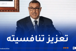 وزير النقل: تجديد وتوسيع أسطول مجمع الخطوط الجوية الجزائرية