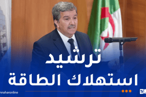 وزير الاتصال: وسائل الإعلام تضطلع بدور كبير في ترقية مبادئ النجاعة الطاقوية
