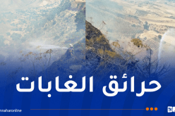 إندلاع 16 حريقاً عبر هذه الولايات