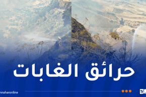 إندلاع 16 حريقاً عبر هذه الولايات