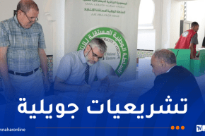 السلطة الوطنية للانتخابات تواصل استقبال محاضر الإحصاء والفرز