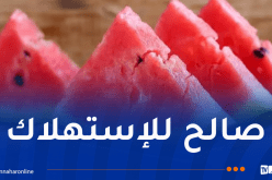 وزارة الداخلية تُصدر بيانا هاما حول فاكهة البطيخ الأحمر