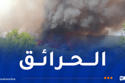 إخماد 19 حريقاً ومواصلة مكافحة 12 بؤرة بتدخل جوي وبري