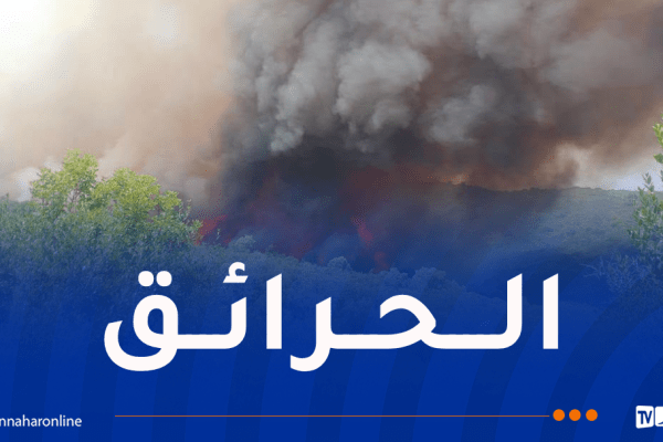 إخماد 19 حريقاً ومواصلة مكافحة 12 بؤرة بتدخل جوي وبري