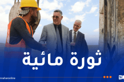 وزير الري: 34 مليار دينار لإنهاء أزمة المياه ولا مكان للمقاولين الفاشلين 