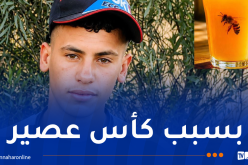 سطيف.. وفاة شاب إثر تعرضه للسعة نحل!