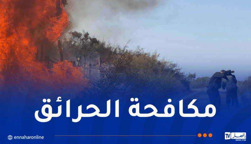 تسخير 5683 إطارًا وعونًا من قطاع الغابات لإخماد الحرائق