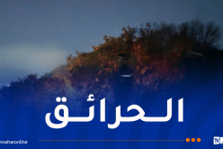 أُخمد منها 43 حريقا.. إندلاع 69 حريقاً عبر الوطن اليوم