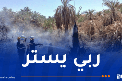 إندلاع 51 حريقا عبر هذه الولايات