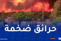 الحرائق تخرج عن السيطرة.. إسبانيا تعلن حالة طوارئ