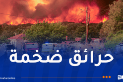 الحرائق تخرج عن السيطرة.. إسبانيا تعلن حالة طوارئ