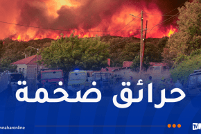 الحرائق تخرج عن السيطرة.. إسبانيا تعلن حالة طوارئ