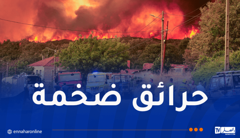 الحرائق تخرج عن السيطرة.. إسبانيا تعلن حالة طوارئ