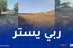 إندلاع 15 حريقا عبر هذه الولايات