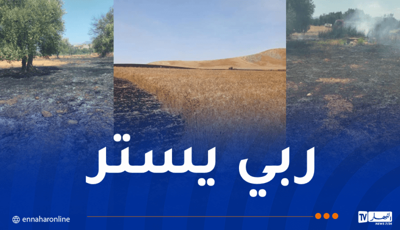 إندلاع 15 حريقا عبر هذه الولايات
