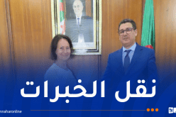 شراكة جزائرية سويدية مرتقبة في مجالات السلامة المرورية والأمراض النادرة