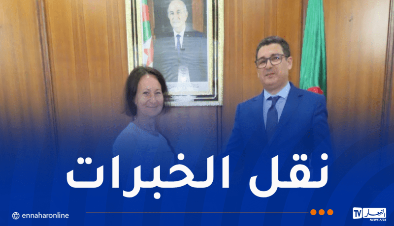 شراكة جزائرية سويدية مرتقبة في مجالات السلامة المرورية والأمراض النادرة