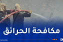 إخماد 36 حريقا عبر عدة ولايات اليوم الجمعة