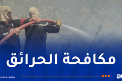 الحماية المدنية: إخماد 19 حريقًا وتواصل عمليات الإطفاء في 7 ولايات
