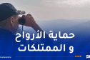 تجنيد إمكانيات بشرية ومادية معتبرة لإخماد الحرائق