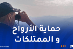 تجنيد إمكانيات بشرية ومادية معتبرة لإخماد الحرائق