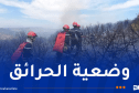 إخماد 141 حريقاً ومواصلة جهود الإطفاء في 18 موقع عبر 12 ولاية