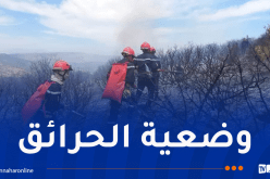 إخماد 141 حريقاً ومواصلة جهود الإطفاء في 18 موقع عبر 12 ولاية