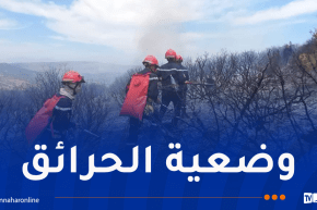 إخماد 141 حريقاً ومواصلة جهود الإطفاء في 18 موقع عبر 12 ولاية