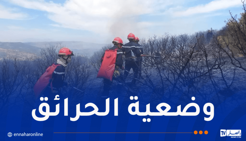 إخماد 141 حريقاً ومواصلة جهود الإطفاء في 18 موقع عبر 12 ولاية