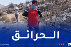 إندلاع 21 حريقًا عبر عدة ولايات