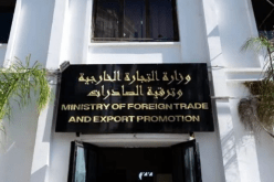 إطلاق المنصة الرقمية لاستيراد الخدمات ابتداءً من 1 أوت المقبل