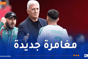 بعد فسخ عقده مع الخضر.. بيتكوفيتش على أعتاب تحدٍ جديد !