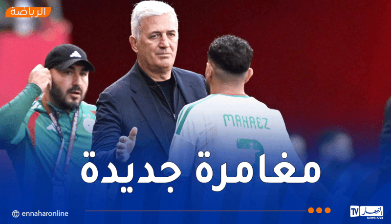 بعد فسخ عقده مع الخضر.. بيتكوفيتش على أعتاب تحدٍ جديد !