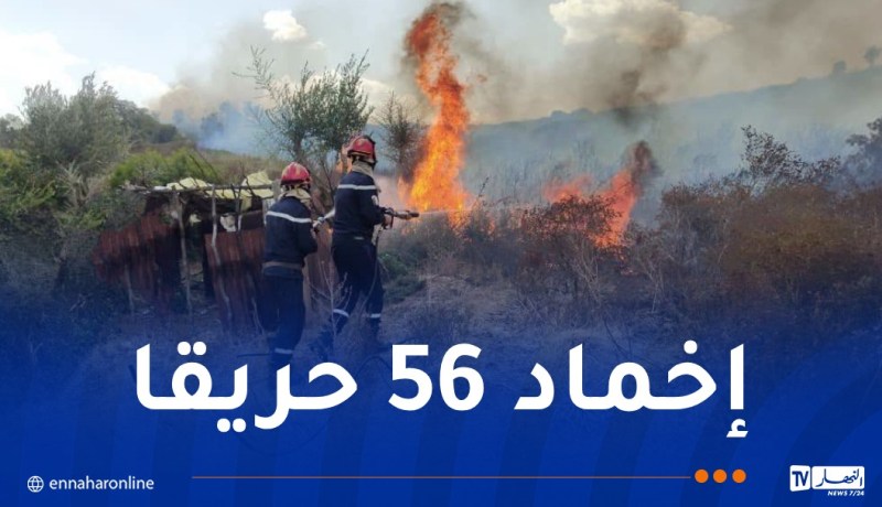 حرائق تضرب عدة ولايات.. الحماية المدنية تكشف الحصيلة