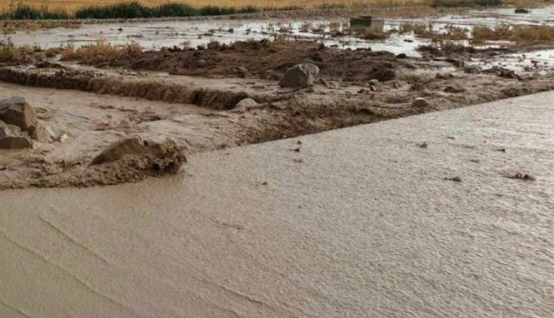 قسنطينة.. وفاة شخص جرفته السيول بمدينة الخروب