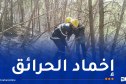 الجلفة: إخماد 5 بؤر والسيطرة على حريق بغابة الخنق القديم