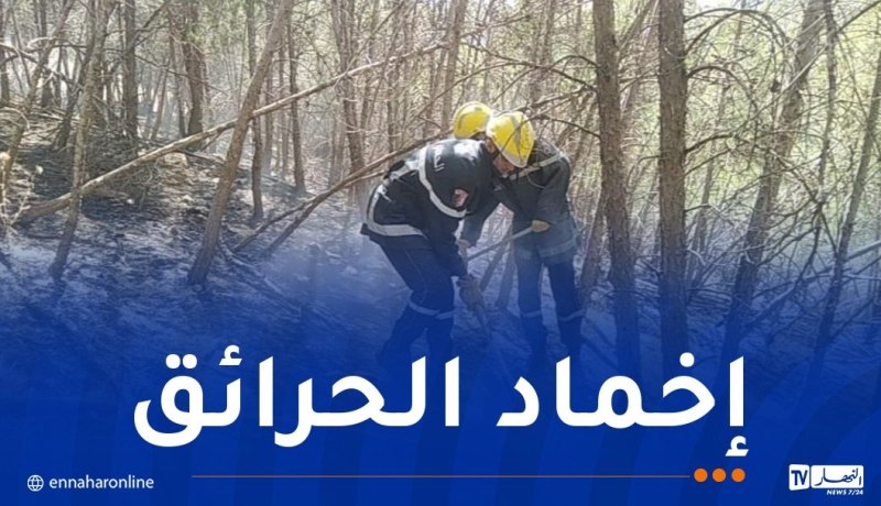 الجلفة: إخماد 5 بؤر والسيطرة على حريق بغابة الخنق القديم