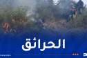 استمرار جهود إخماد 7 حرائق غابات عبر 6 ولايات