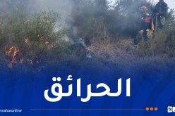 استمرار جهود إخماد 7 حرائق غابات عبر 6 ولايات