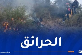 استمرار جهود إخماد 7 حرائق غابات عبر 6 ولايات
