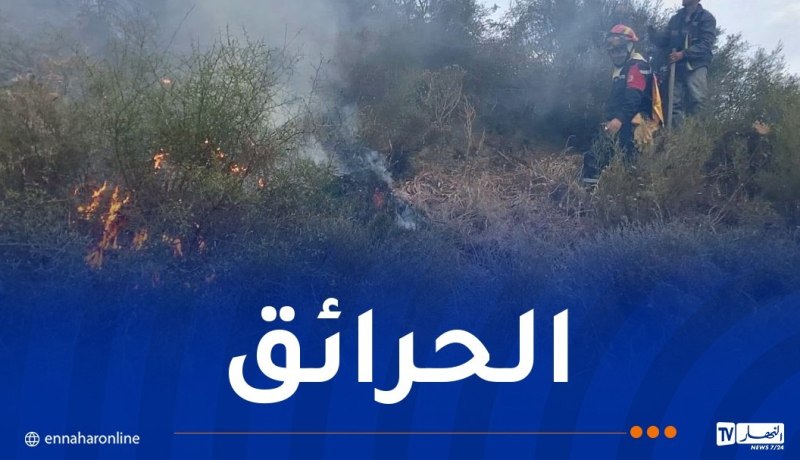 استمرار جهود إخماد 7 حرائق غابات عبر 6 ولايات