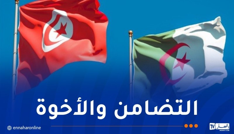 تونس تشكر الجزائر على تزويدها بالكهرباء خلال هذه الفترة الإستثنائية