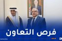 مقرمان يستقبل الأمين العام لمبادرة الشرق الأوسط الأخضر