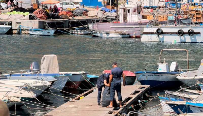 حملة وطنية لتنظيف 45 ميناء وملجأ صيد عبر الولايات الساحلية