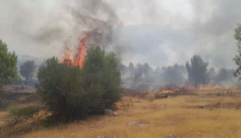 إجلاء 15 شخصاً و7 منازل احترازياً.. الحرائق مشتعلة بـ 7 ولايات