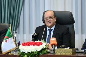 الوزير الأول: الجزائر تلتزم بدعم التنمية في المنطقة وتعزيز التعاون في مختلف المجالات
