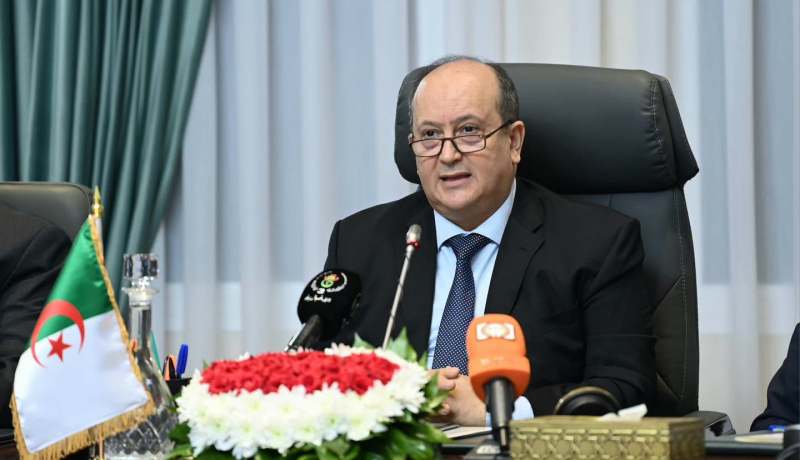 الوزير الأول: الجزائر تلتزم بدعم التنمية في المنطقة وتعزيز التعاون في مختلف المجالات